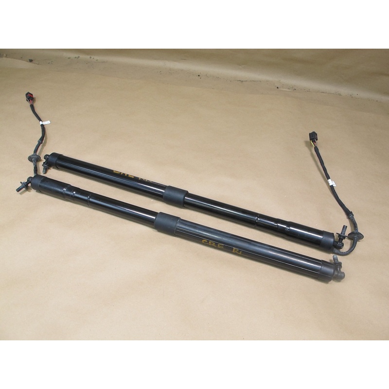 12-19 Range Evoque L538 Rear Left & Right Tailgate Lid Power Shock Strut OEM