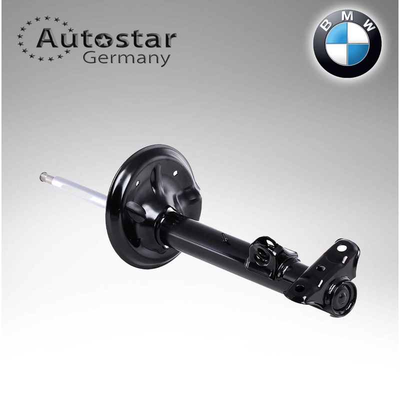 BMW Shock Absorber E 36 31311092308