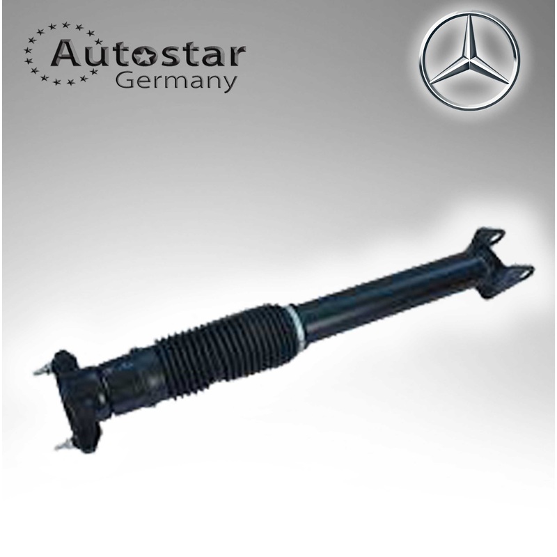 Mercedes Benz Shock Absorber1663200030